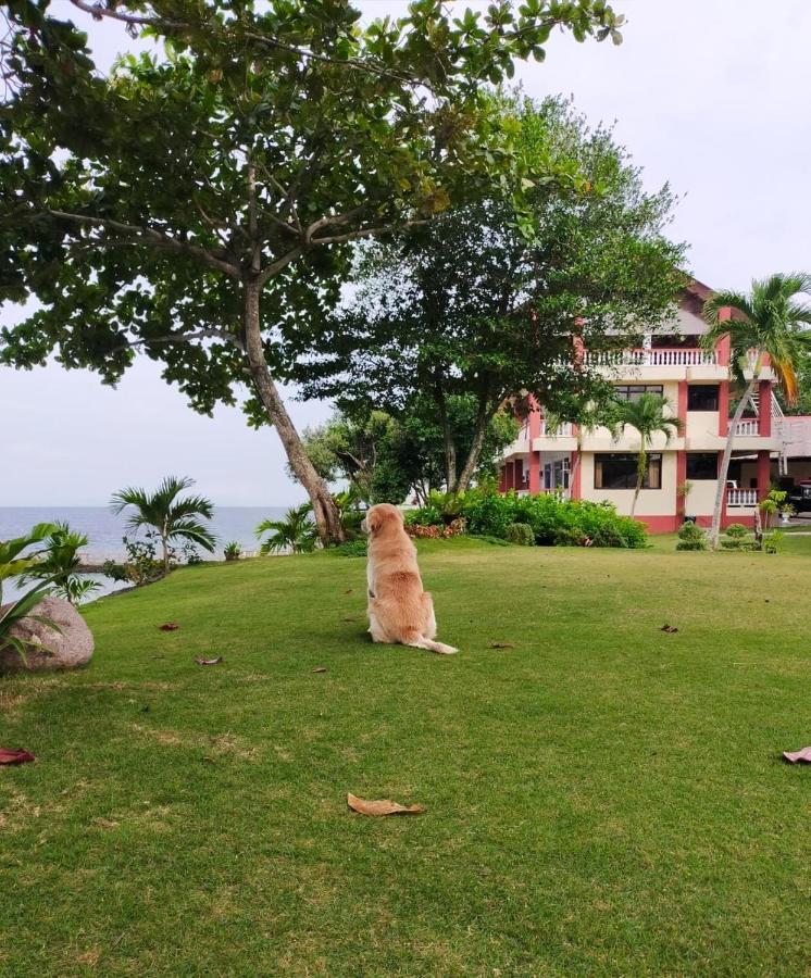 Dumaguete City Wuthering Heights Bed & Breakfast By The Sea מראה חיצוני תמונה