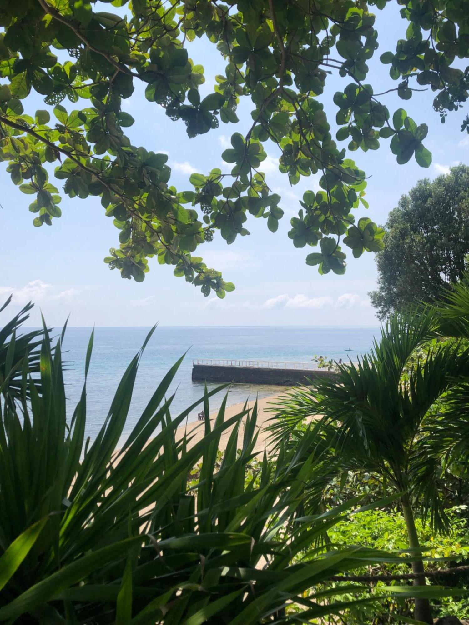 Dumaguete City Wuthering Heights Bed & Breakfast By The Sea מראה חיצוני תמונה