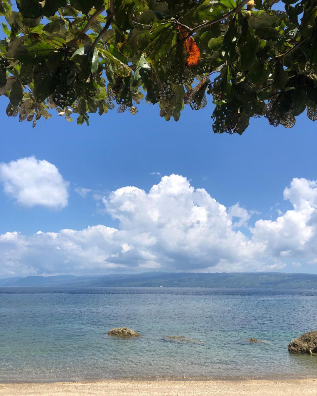 Dumaguete City Wuthering Heights Bed & Breakfast By The Sea מראה חיצוני תמונה